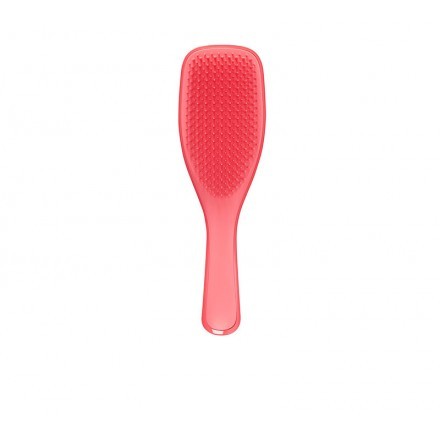 Cepillo Tangle Teezer Detangling Hairblush – Desenreda Sin Tirones Todo Tipo de Cabello