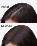 Lendan Root Cover Charge Black 4g | Cubre Canas Negro Instantáneo Polvo Mineral