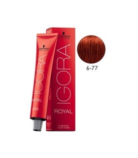 Schwarzkopf Professional Tinte  Igora Royal Color 6 -77 Rubio Oscuro Cobrizo Extra